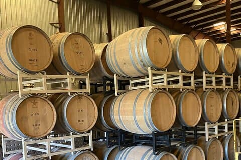 Vinsmaking og båttur