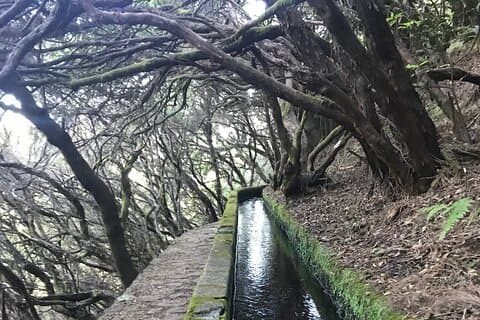 Twenty-Five Fountains Levada walks (private)
