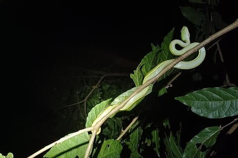 Naturschutzgebiet Monteverde