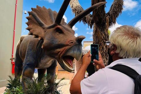 The best tour to the "Desert Museum" + Tickets + Transfers