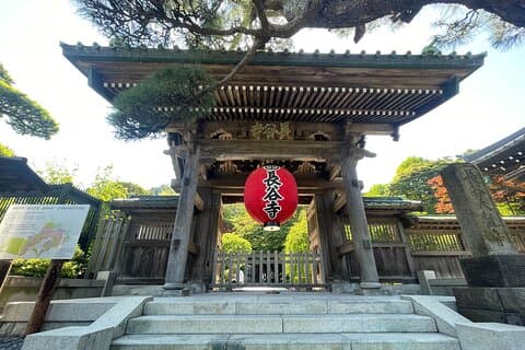 Kamakura : Buda de madera más grande, templos, experiencia cultural