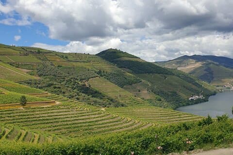Privat rundtur i Dourodalen från Porto och Vila Nova de Gaia