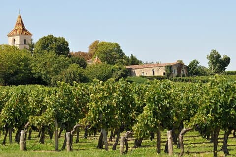 Half-Day Wine tour across Bordeaux’s Vineyards