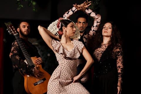 Authentique spectacle live flamenco avec vin à Barcelone