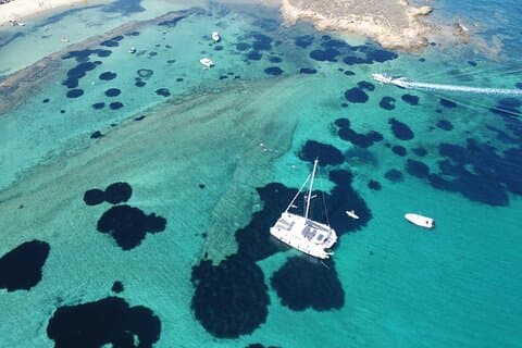 カタマランでアテネの海岸線を帆走、食事＆ワイン付き