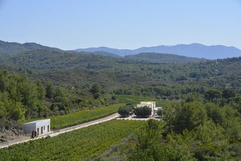 Lezione di cucina e degustazione di vini greci