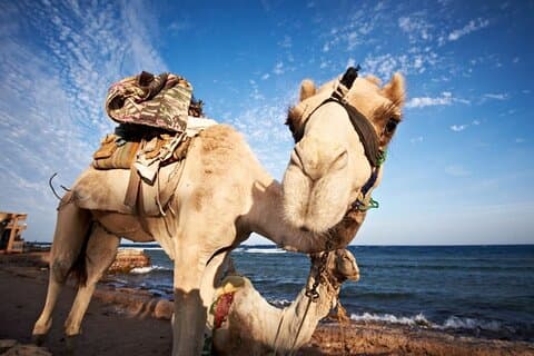 Aventura en jeep al cañón Salama y Dahab desde Sharm El-Sheikh