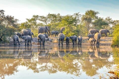 6 dias de safári nas crateras Masai Mara, Serengeti e Ngorongoro em 4x4