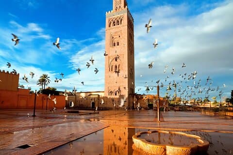 From Marrakech-Excursion Essaouira from 8:00 to 18:30