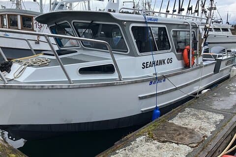 Fishing Whale Watching Hoonah Alaska