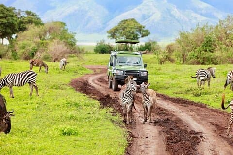 Safari di 3 giorni a Tarangire, Ngorongoro e Lago Manyara