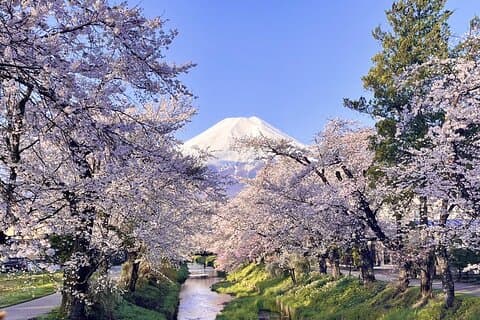 Excursion d'une journée au Mont Fuji et à Oshino Hakkai au départ de Tokyo