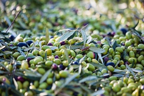 Private Wine & Olive Oil Tasting Tour with Lunch in Peza Village