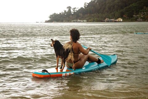 SUP Boarding in the Bay