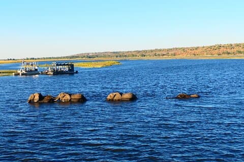 Südafrika, Botswana und Simbabwe Wildlife Adventure