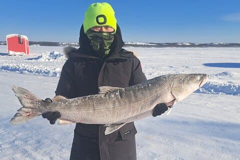 Ultimate Ice Fishing with Lunch in Yellowknife