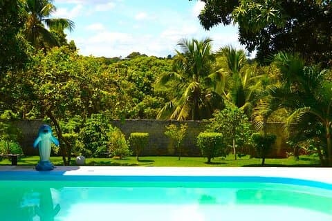 One day in paradies, relax and swim in our troical garden (lunch included)