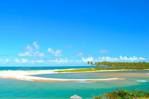 Excursion d'une journée sur la plage à Praia do Forte, découvrez la côte de la noix de coco