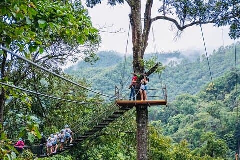 Extreme Zipline and Sticky Waterfall Private Tour