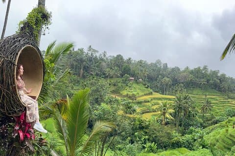Ubud Highlight Private Tour - All Inclusive Entrance fee