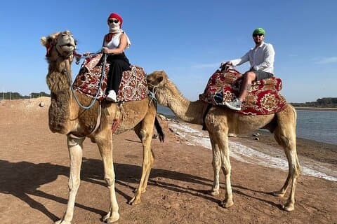 Paseos en camello por Agadir con bebida de té y pasteles