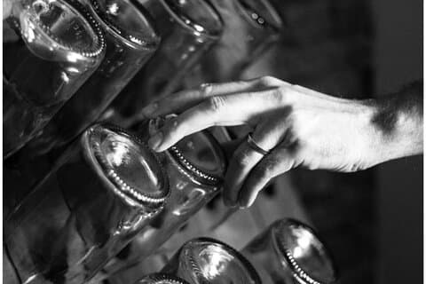 Exclusive Wine Tasting in the Historic Center of Siena