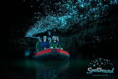 Auckland: Excursão privada Waitomo Spellbound Glow Worm Twin Caves