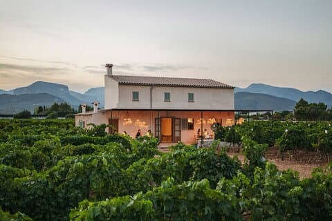 Sunset vinsmagning inklusive afhentning fra nordkysten