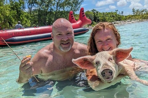 Natação privada com porcos e mergulho com snorkel no paraíso