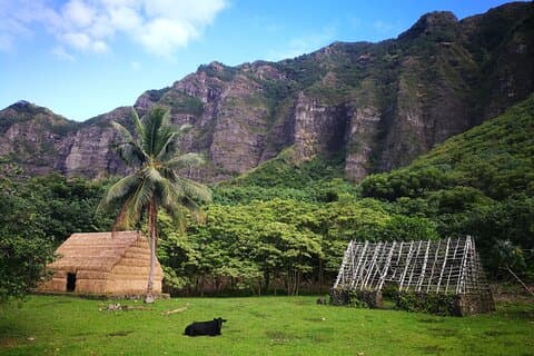 Private One way Transfer Waikiki Hotel and Kualoa Ranch