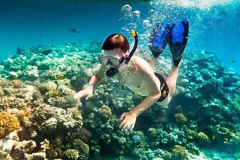 Excursion d'une journée de plongée en apnée sur l'île Cham Explorez depuis Hoi An ou Da Nang