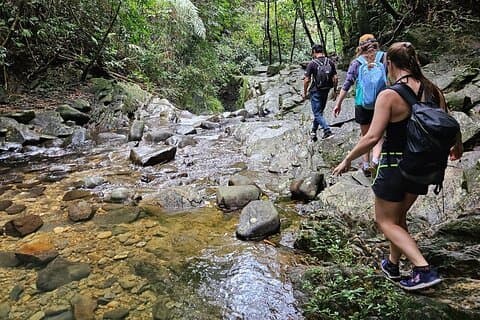 Fra Hue: Bach Ma National Park Trekking Adventure-Small Group