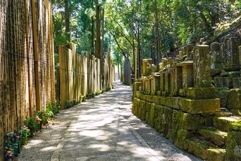 Endagsvandring fra Kyoto til Mt. Koya