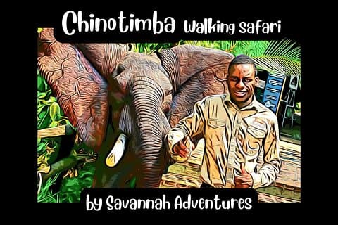 Udforsk den lokale liv-guided 4x4 Township Tour of Chinotimba *D-ES-F
