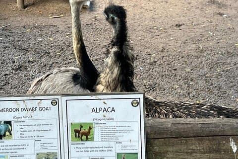 World of Birds, Kirstenbosch och Constantia Wine Private Day Tour