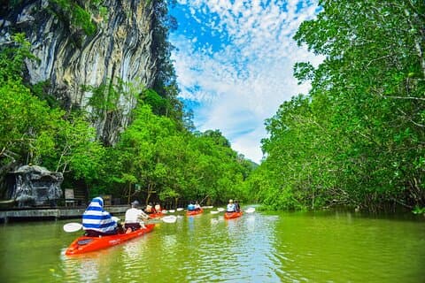Halvdag Bor Thor Mangrove Kayaking Tour fra Krabi