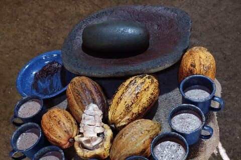 Uvita Chocolate Tour
