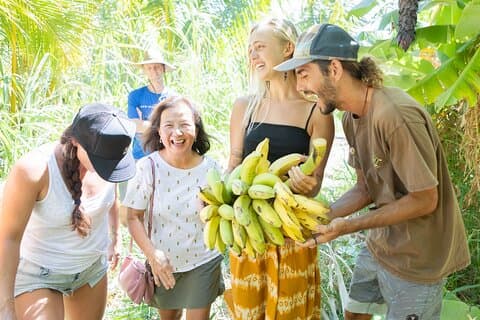 Gosto do Havaí: um passeio pela fazenda Maui