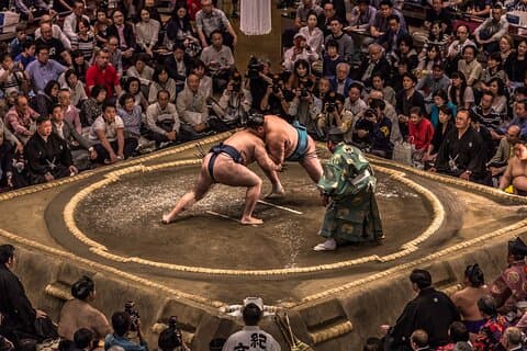 Experiencia de torneo de sumo en Osaka