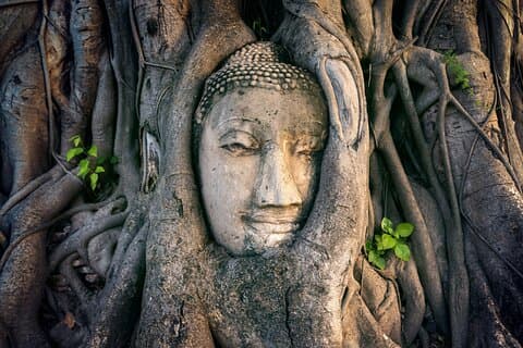 Visite privée des temples d'Ayutthaya - Excursion d'une journée