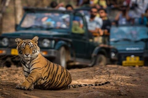 Golden Triangle & Ranthambore: 4-dagars privat rundtur från Delhi