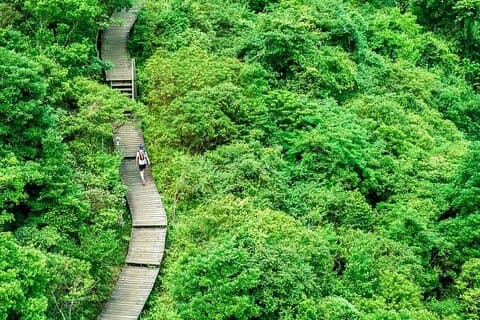 The Big Buddha & Lantau Island - Private Tour with Private Car