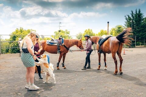 Horseback riding and wine tasting experience at Mount Vesuvius