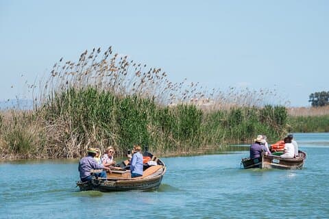 Tour privato di un giorno all'Albufera: Paella, crociera in barca e passeggiata nella natura