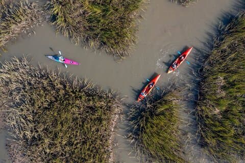 Dolfijnenkajaktour op Folly Beach