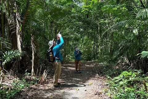 Excursão a pé pelo Parque Nacional Soberanía e Camino de Cruces