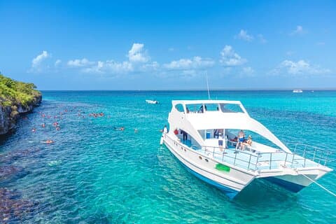Excursão de dia inteiro para descobrir a Ilha Catalina com opção de almoço