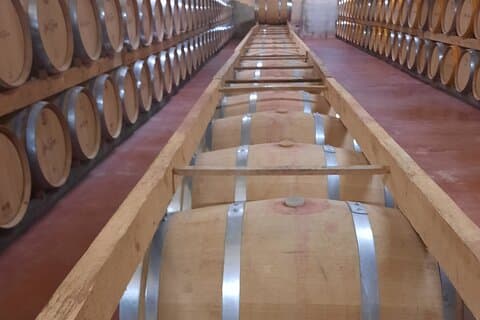 Bodega Tour XL Mallorca inkl. 3x vinsmagning, afhent østkysten