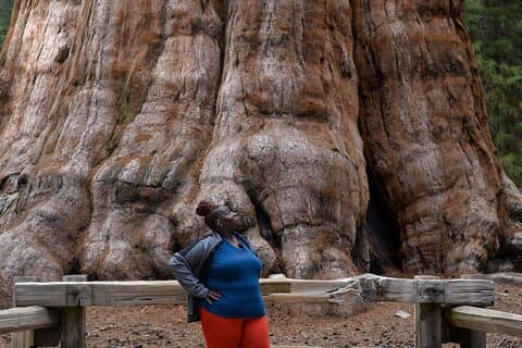 Private 2-Day Tour to Sequoia and Kings Canyon Parks from LA
