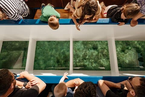 Brijuni Islands Glass-Bottom Boat Panorama